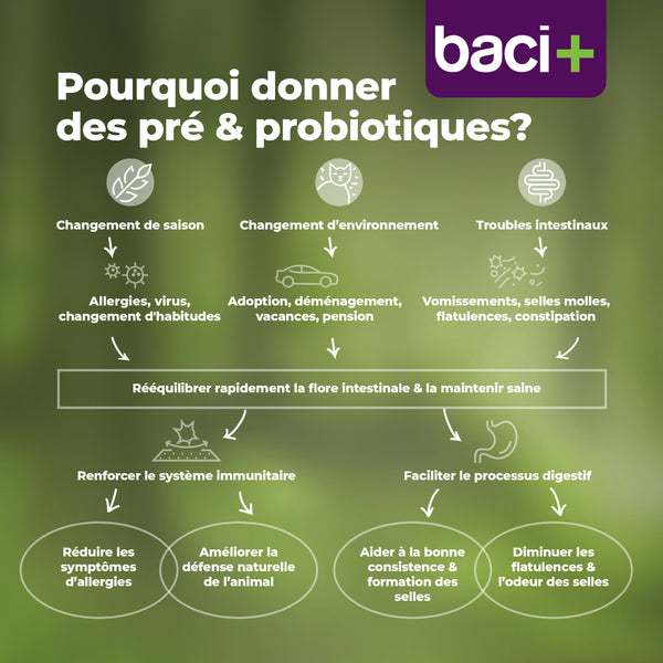 Probio+ pour chat 14 g