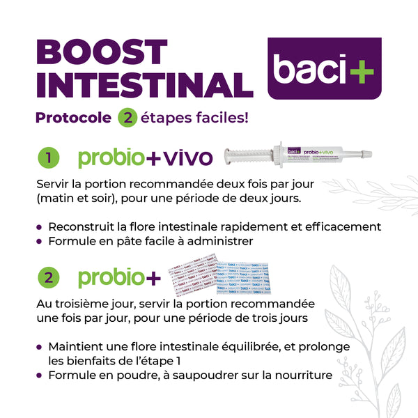 Trousse Boost intestinal pour chat 27 g