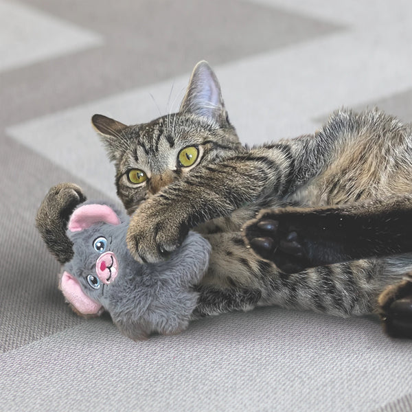 Jouet pour chats « Snuzzles » Souris