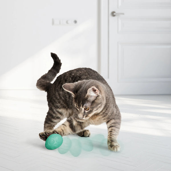 Jouet pour chats oeuf infusé avec de l'herbe à chat paquet de 2