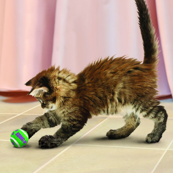 Jouet pour chats actif balles de tennis avec cloches paquet 3