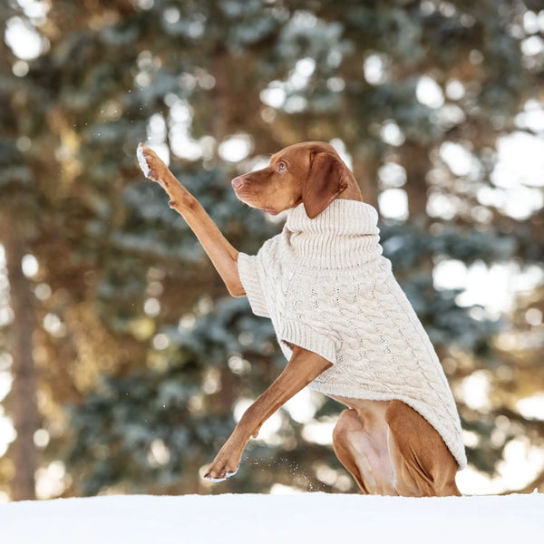 Pull pour chien modèle Chalet - Beige