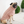 Pull pour chien modèle Chalet - Rose
