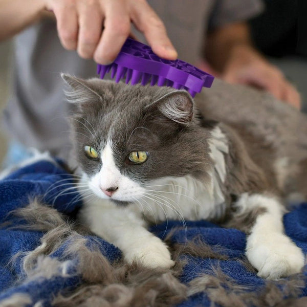 Brosse en caoutchouc pour chats « Zoom Groom »