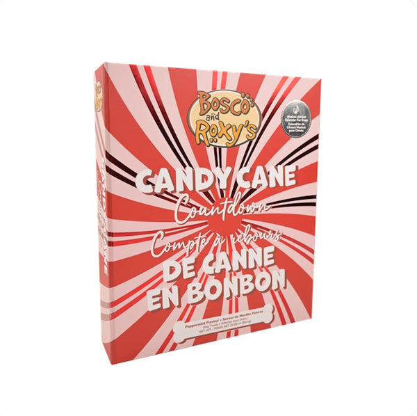 Calendrier musical de l'Avent sucre d'orge pour chien