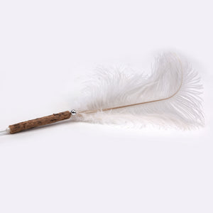 Jouet pour chat Agace-chat Cat Love avec plume géant