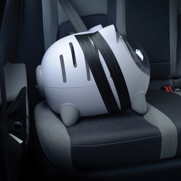 Catit PIXI Mio Lit et cage de transport 2 en 1 pour chats