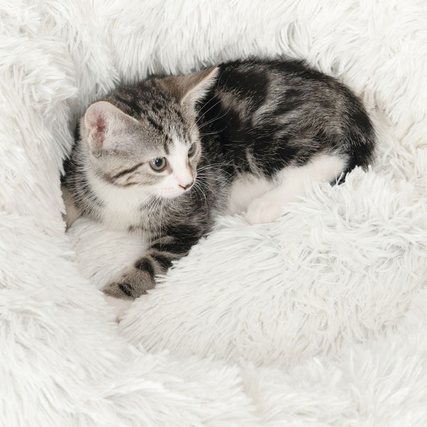 Lit moelleux Catit pour chats,diam. 60 cm (20 po)