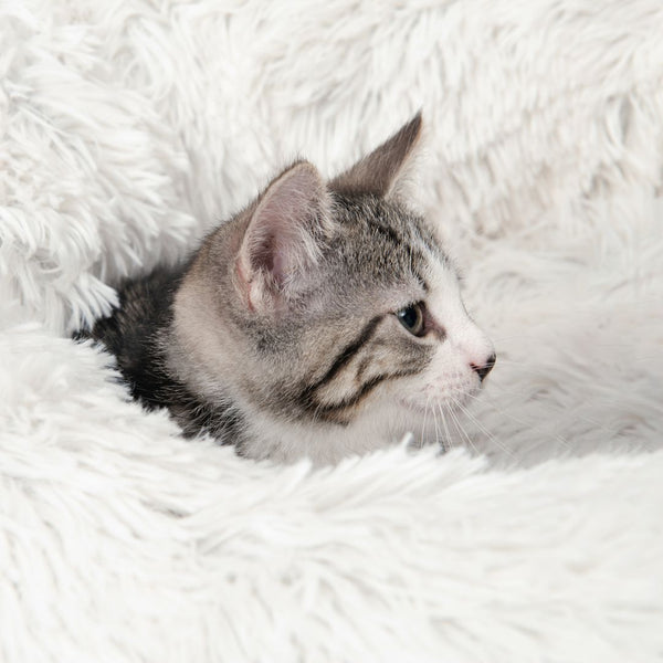 Lit moelleux Catit pour chats,diam. 60 cm (20 po)