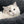 Lit moelleux Catit pour chats,diam. 60 cm (20 po)