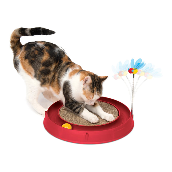 Circuit de jeu pour chats Catit Play avec balle et planche à griffer
