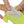 Jouet pour chats interactif Catit Groovy, gecko, vert