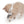 Jouet pour chat interactif Toupie électronique Catit PIXI
