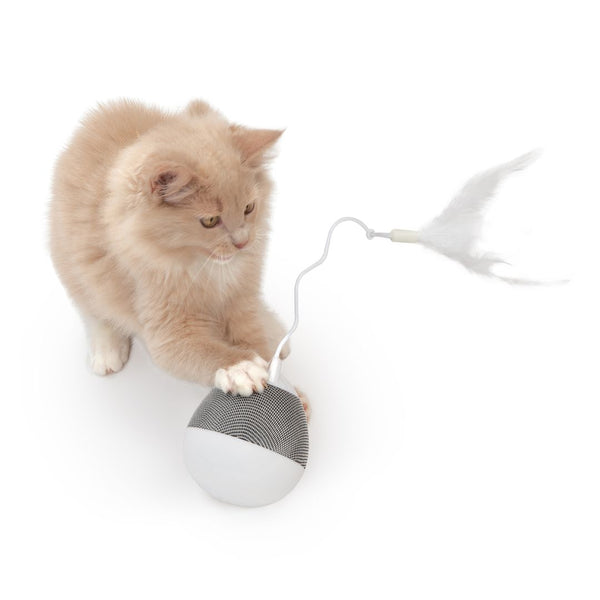 Jouet pour chat interactif Toupie électronique Catit PIXI