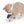 Jouet pour chat interactif Toupie électronique Catit PIXI