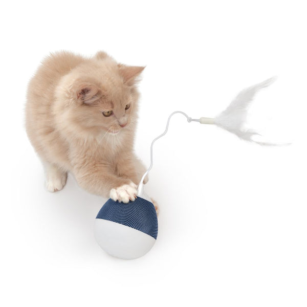 Jouet pour chat interactif Toupie électronique Catit PIXI