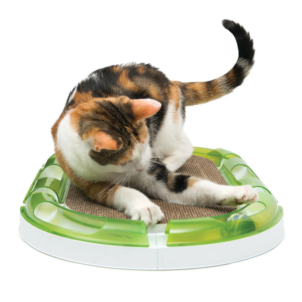 Griffoir de remplacement ovale pour circuit de jeu Catit Senses 2.0