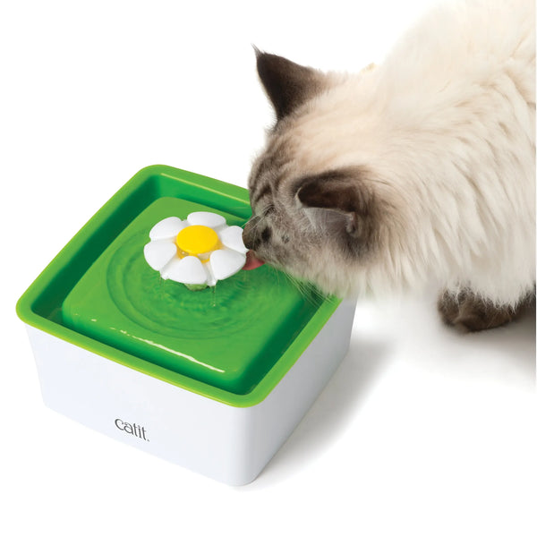 Mini abreuvoir pour chat Catit 2.0 avec fleur, 1,5 l - Animatout