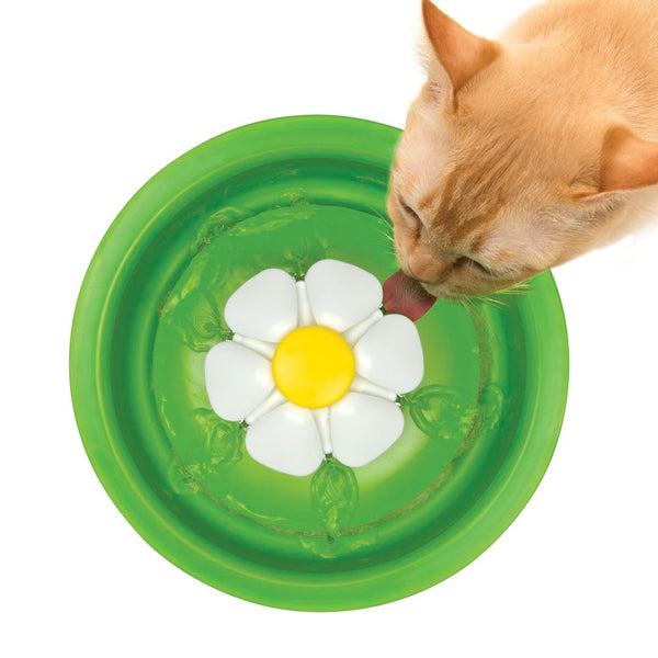 Abreuvoir pour chat avec fleur, 3 l