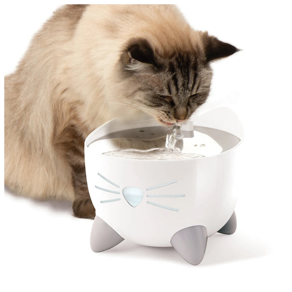 Abreuvoir intelligent PIXI avec dessus en acier inoxydable, 2,5 l - Animatout