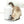 Distributeur intelligent de nourriture pour chat Catit PIXI