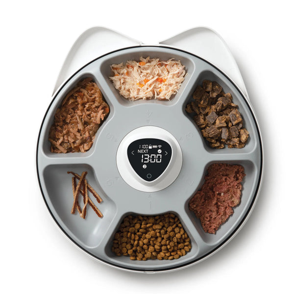Distributeur intelligent de nourriture pour chats Catit PIXI de 6 repas