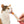 Gâteries crémeuses pour chat creamy à lécher, saumon