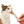 Gâteries crémeuses pour chat creamy à lécher, poulet et foie - Animatout