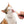 Gâteries crémeuses pour chat creamy à lécher, poulet et foie - Animatout