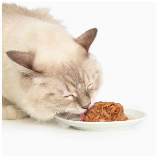 Repas de poulet pour chat avec canard et pommes de terre, 80 g - Animatout