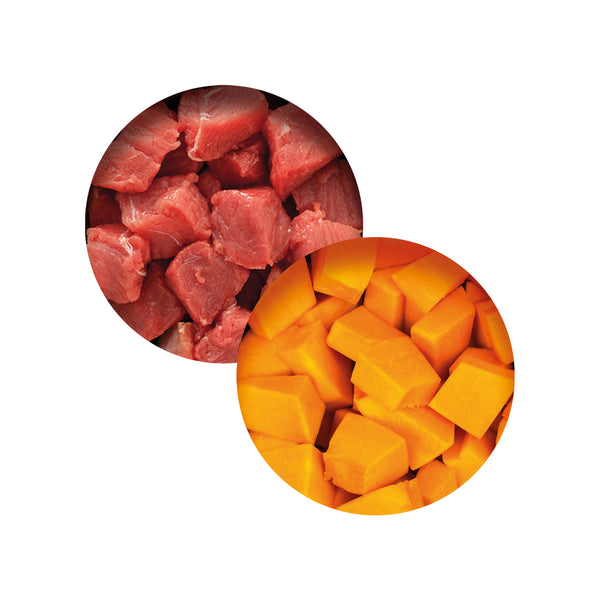 Repas de poulet pour chat avec bœuf et citrouille, 80 g - Animatout