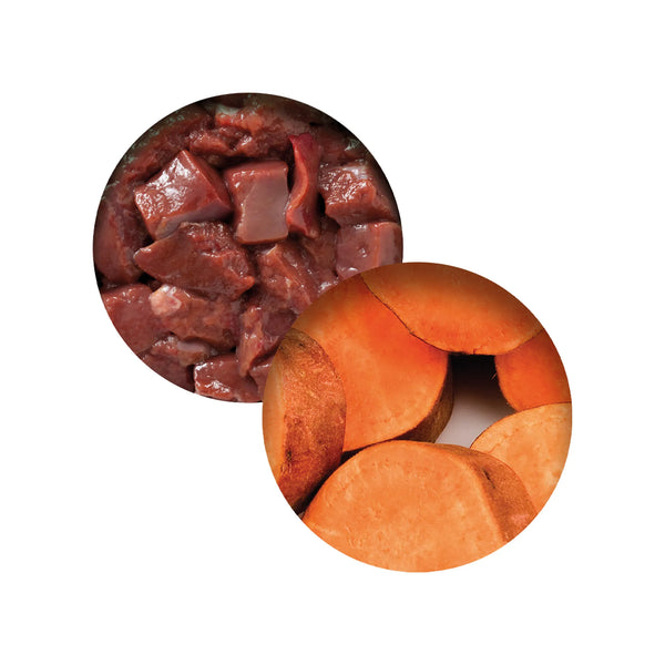Repas de poulet pour chat avec foie et patate douce, 80 g - Animatout