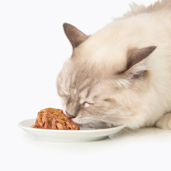 Repas de poisson pour chat avec thon et carottes, 80 g - Animatout