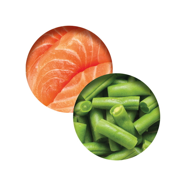 Repas de poisson pour chat avec saumon et haricots verts, 80 g - Animatout