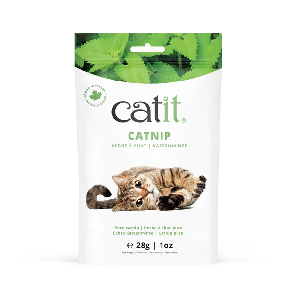 Herbe à chat séchée Catit, sac de 28 g (1 oz)