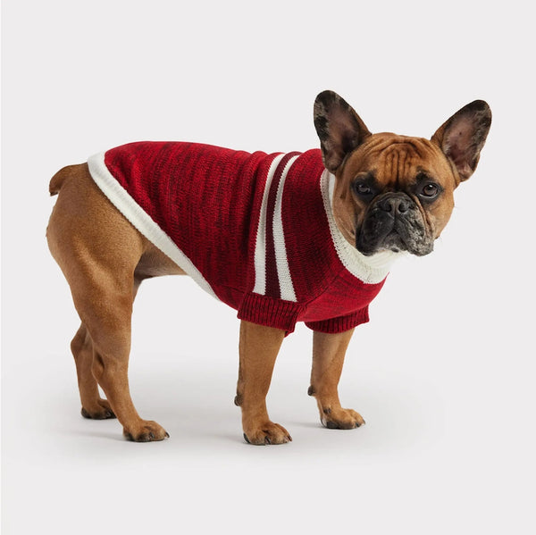 Pull Trek pour chien - Rouge