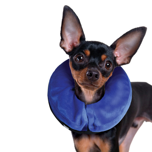 Collier élisabéthain pour chien et chat "Cloud"