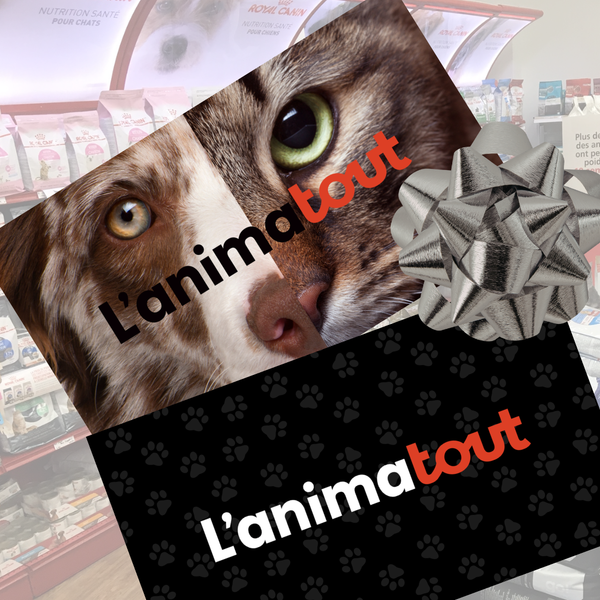 Carte-Cadeau L'Animatout