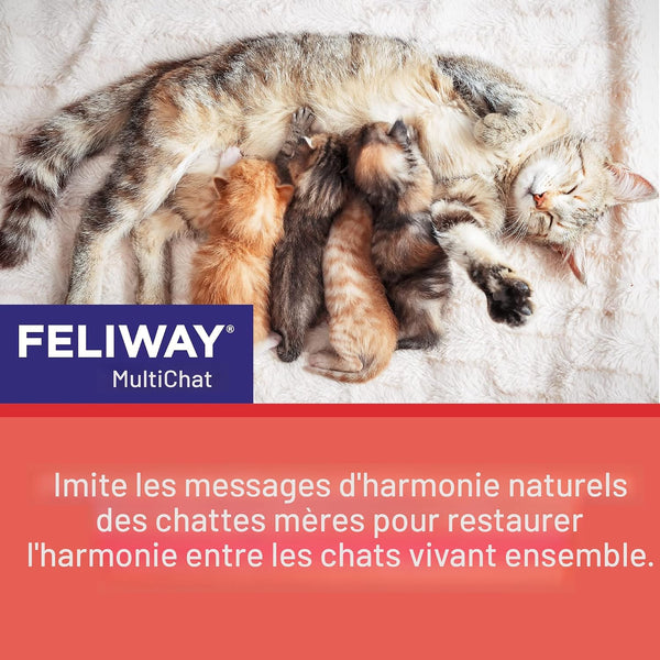 Feliway Friends Ensemble diffuseur+recharge 30 jours 48ml