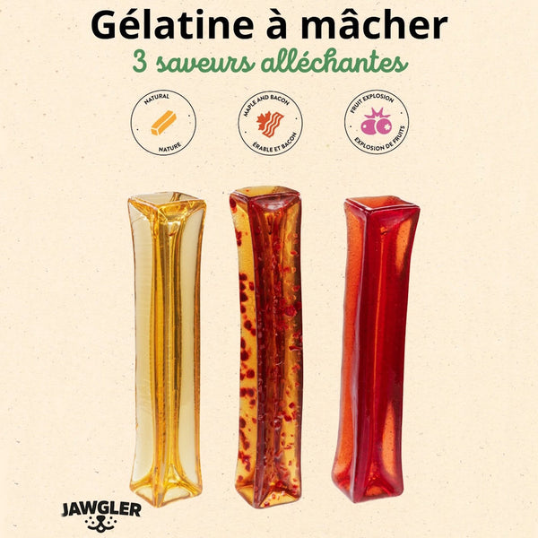 Gâterie de gélatine à mâcher pour chiens - bacon & érable