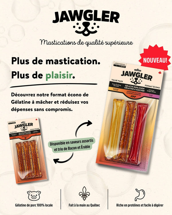 Gâterie pour chien - Gélatine à Mâcher - saveurs assorties paquet de 3 unités
