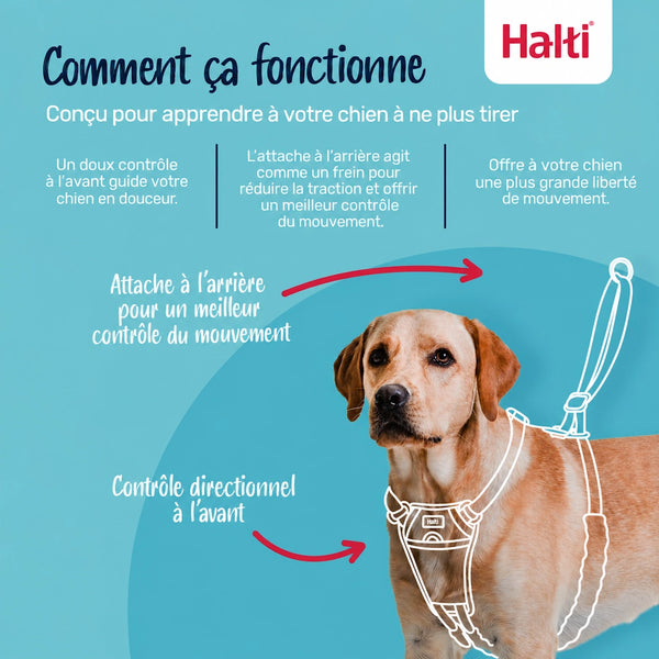 Harnais Halti anti-traction pour chien