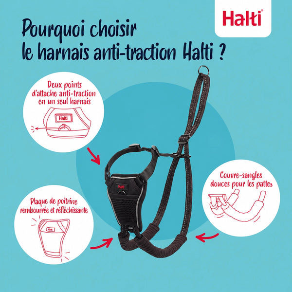 Harnais Halti anti-traction pour chien
