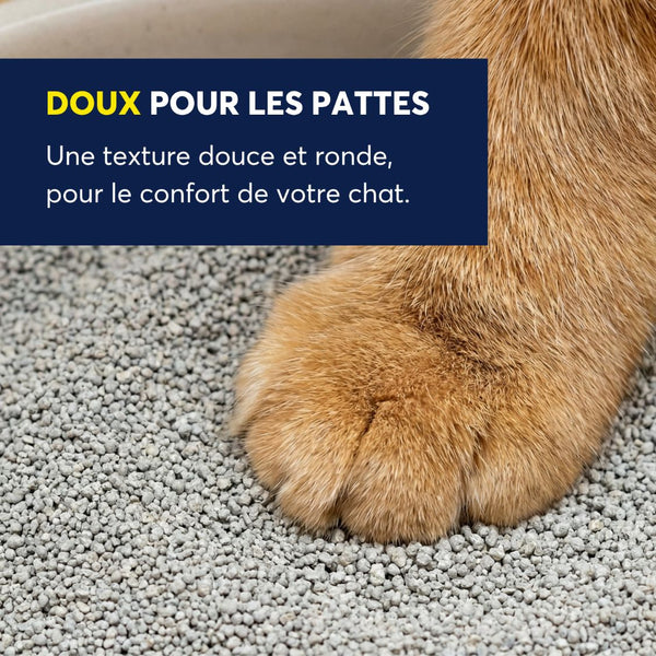 Litière agglomérante OdourLock légère en boîte 5 kg