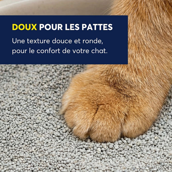 Litière agglomérante OdourLock légère en boîte 5 kg