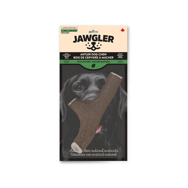 Bois de cervidés à mâcher pour chiens, entier - nature sauvage