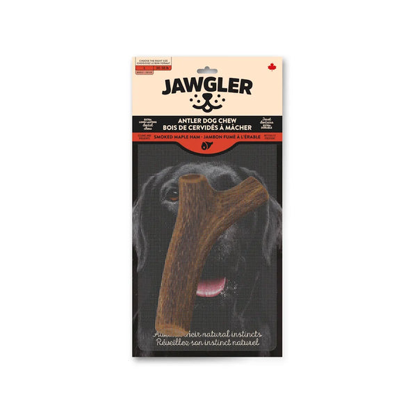 Bois de cervidés à mâcher pour chiens, entier - jambon fumé à l'érable