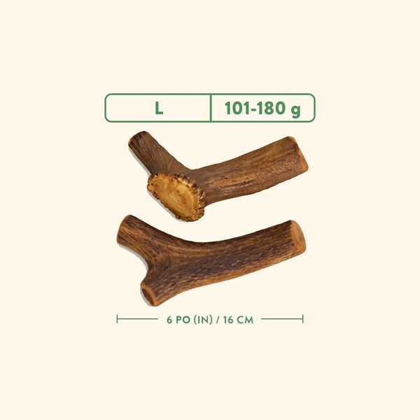 Bois de cervidés à mâcher pour chiens, entier - jambon fumé à l'érable