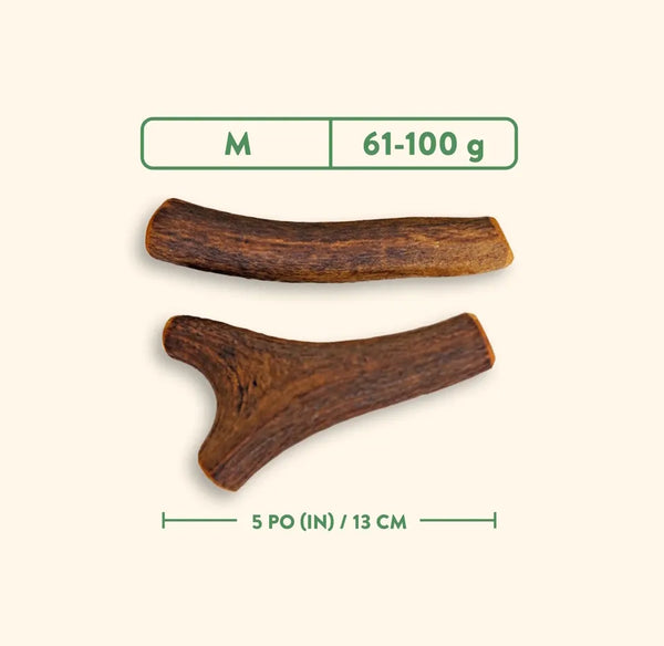 Bois de cervidés à mâcher pour chiens, entier - jambon fumé à l'érable