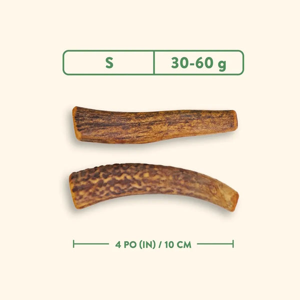 Bois de cervidés à mâcher pour chiens, entier - jambon fumé à l'érable